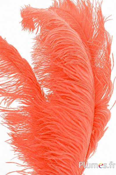 Struzzo premium - 50-60 cm - salmone rosa